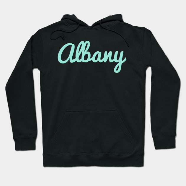 Albany Hoodie by ampp